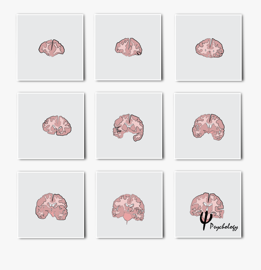Brain - Grid, Transparent Clipart