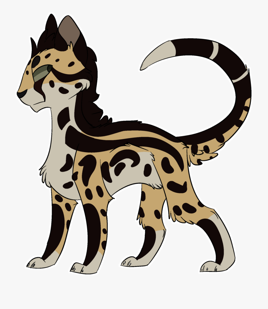 Practising Other Patterns
a King Cheetah - Dog, Transparent Clipart