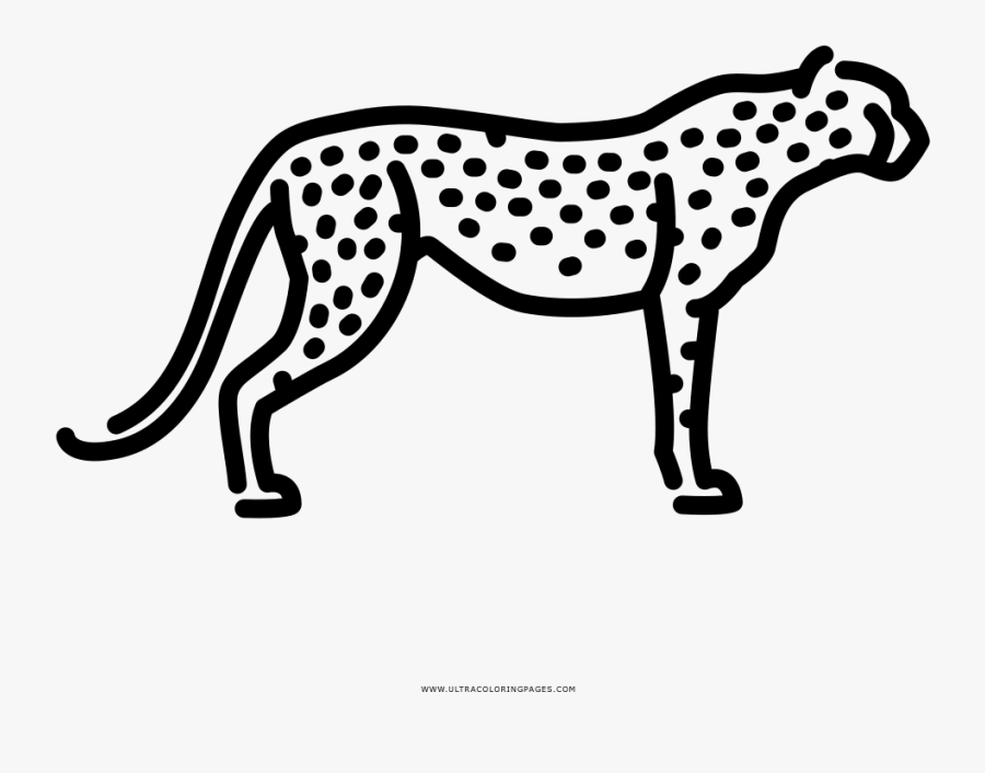 Cheetah Coloring Page - Coloring Book, Transparent Clipart
