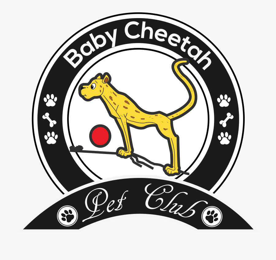 Portable Network Graphics, Transparent Clipart