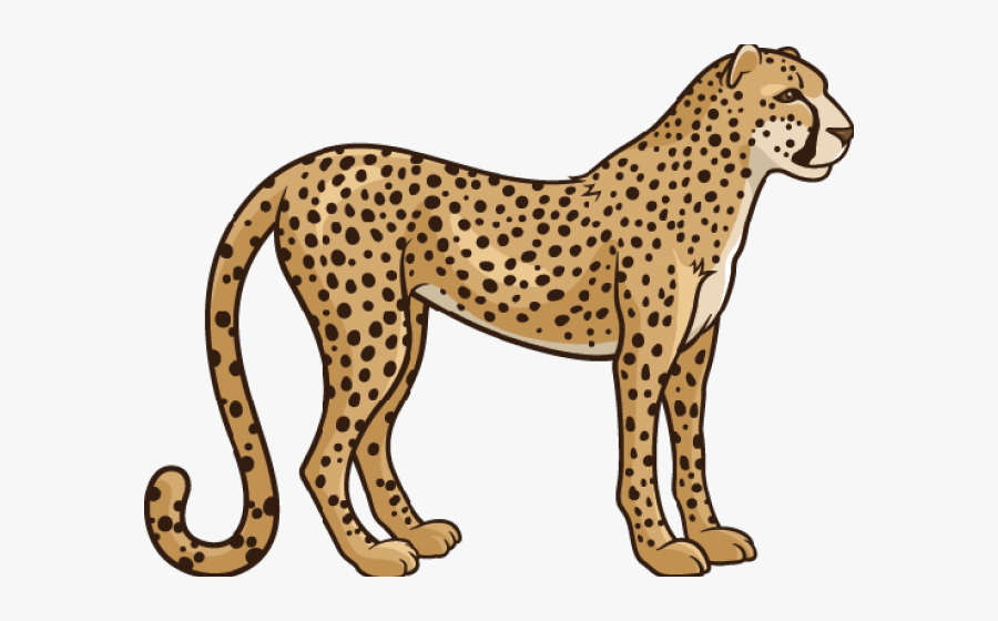 Transparent Background Cheetah Clipart, Transparent Clipart