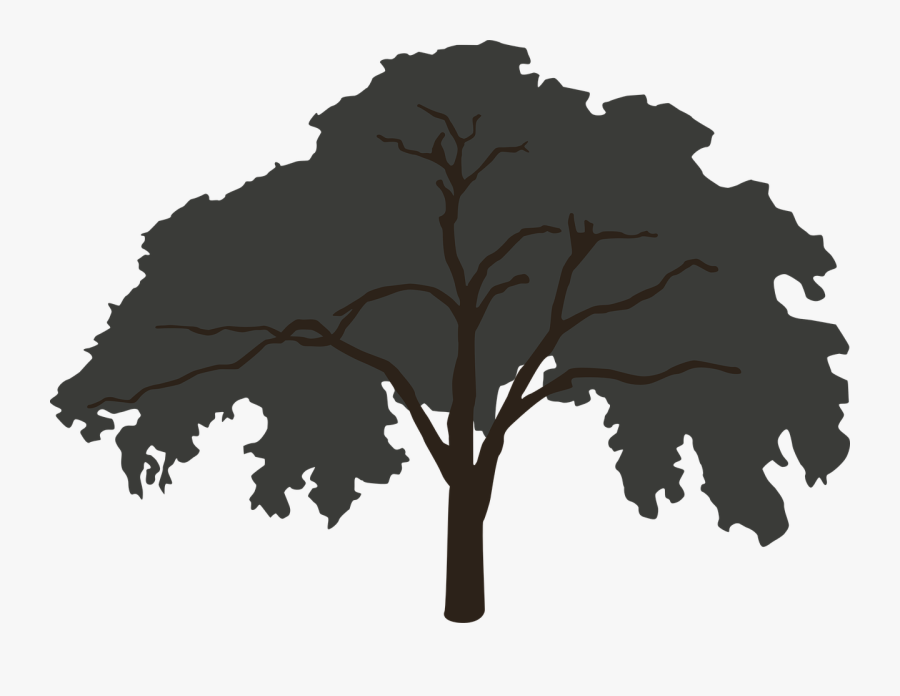 Tree Silhouette Big Free Picture - Huge Tree Silhouette, Transparent Clipart