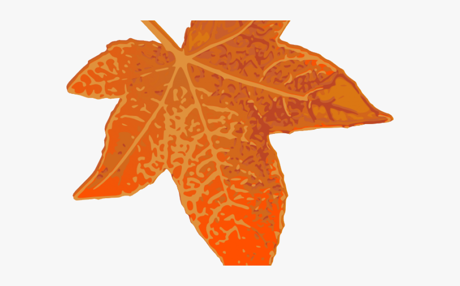 Maple Leaf, Transparent Clipart