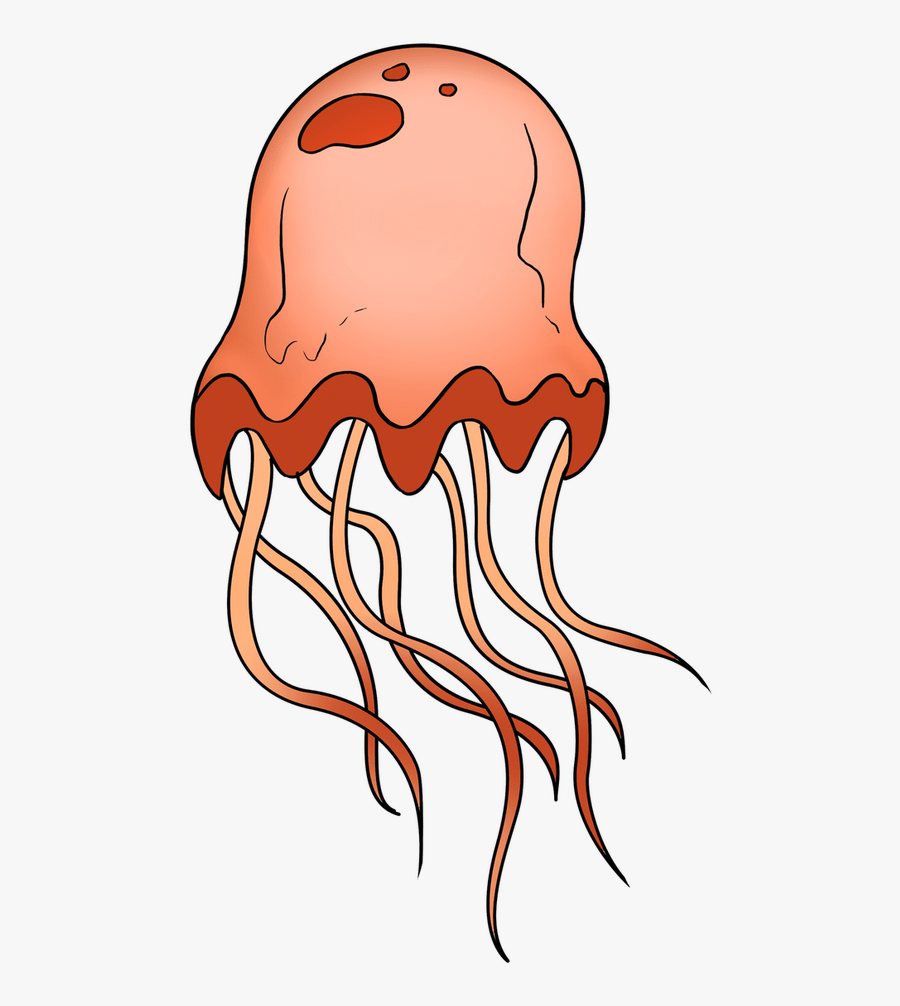How To Draw A Jellyfish, Transparent Clipart