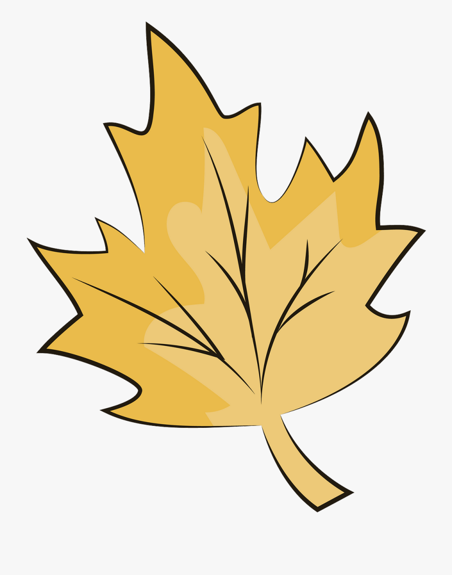 Maple Leaf, Transparent Clipart