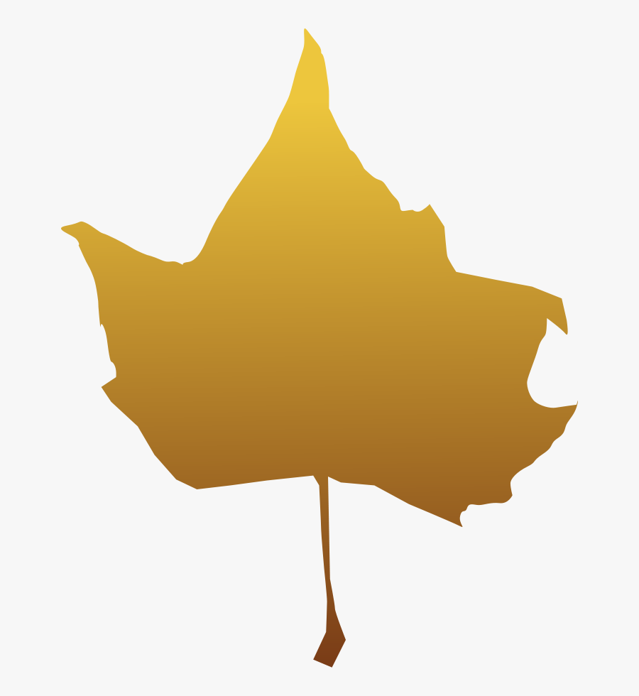 Plant,leaf,maple Leaf - Portable Network Graphics, Transparent Clipart