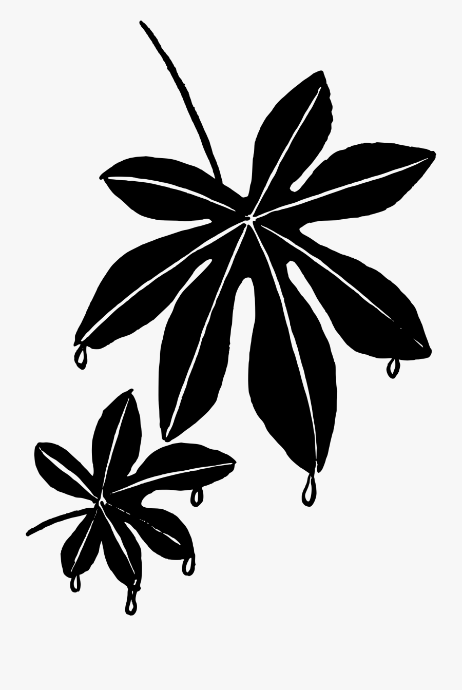 Maple Leaf Clipart Artsy - Illustration, Transparent Clipart