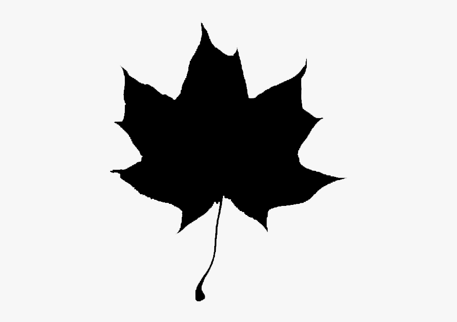 Maple Leaf Vector Graphics Clip Art Stock Illustration - Plane Tree Leaf Vector, Transparent Clipart