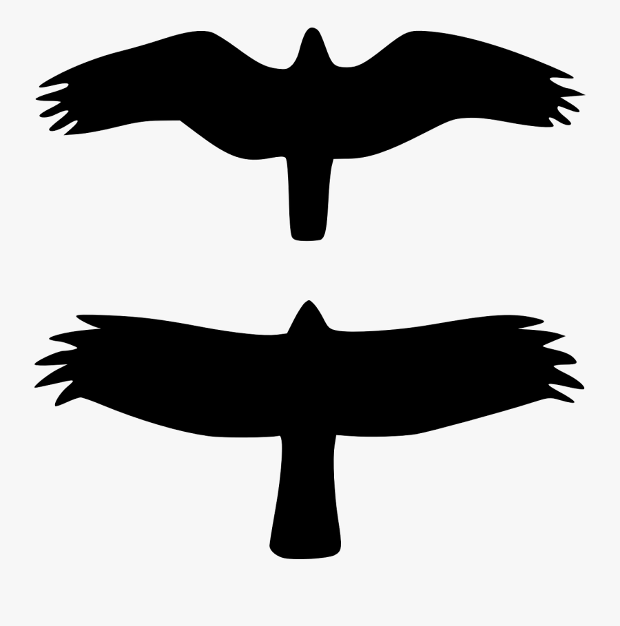 Hawk Clip Art - Bird Flying From Top, Transparent Clipart