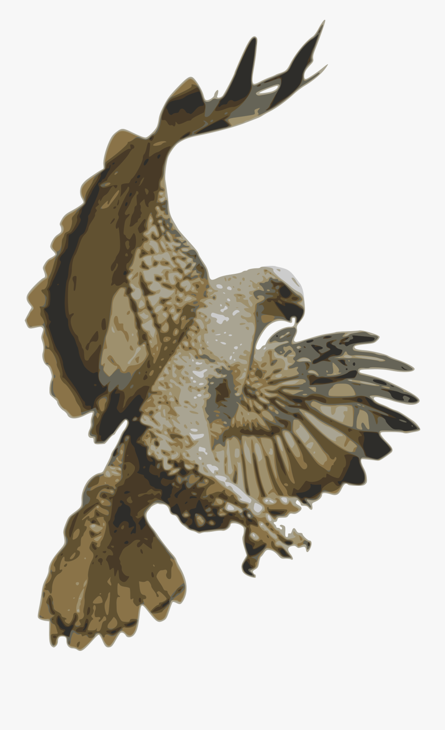 Hawk Pouncing, Transparent Clipart
