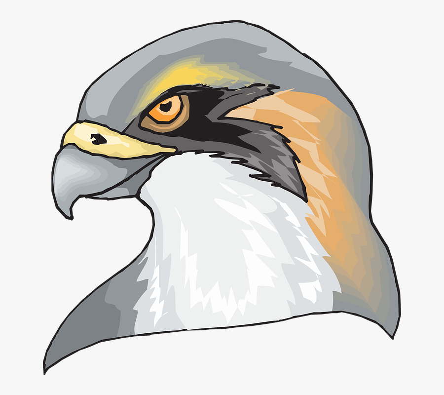 Hawk Head Png, Transparent Clipart