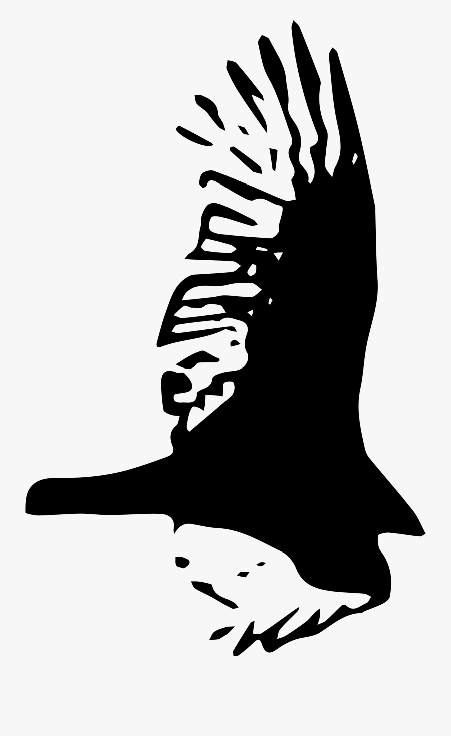 Bird Hawk Clip Art - Hawk, Transparent Clipart