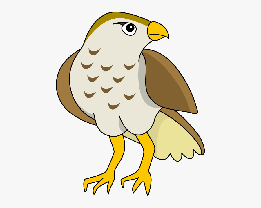 Hawk Clip Art - Nikumaroro Island, Transparent Clipart