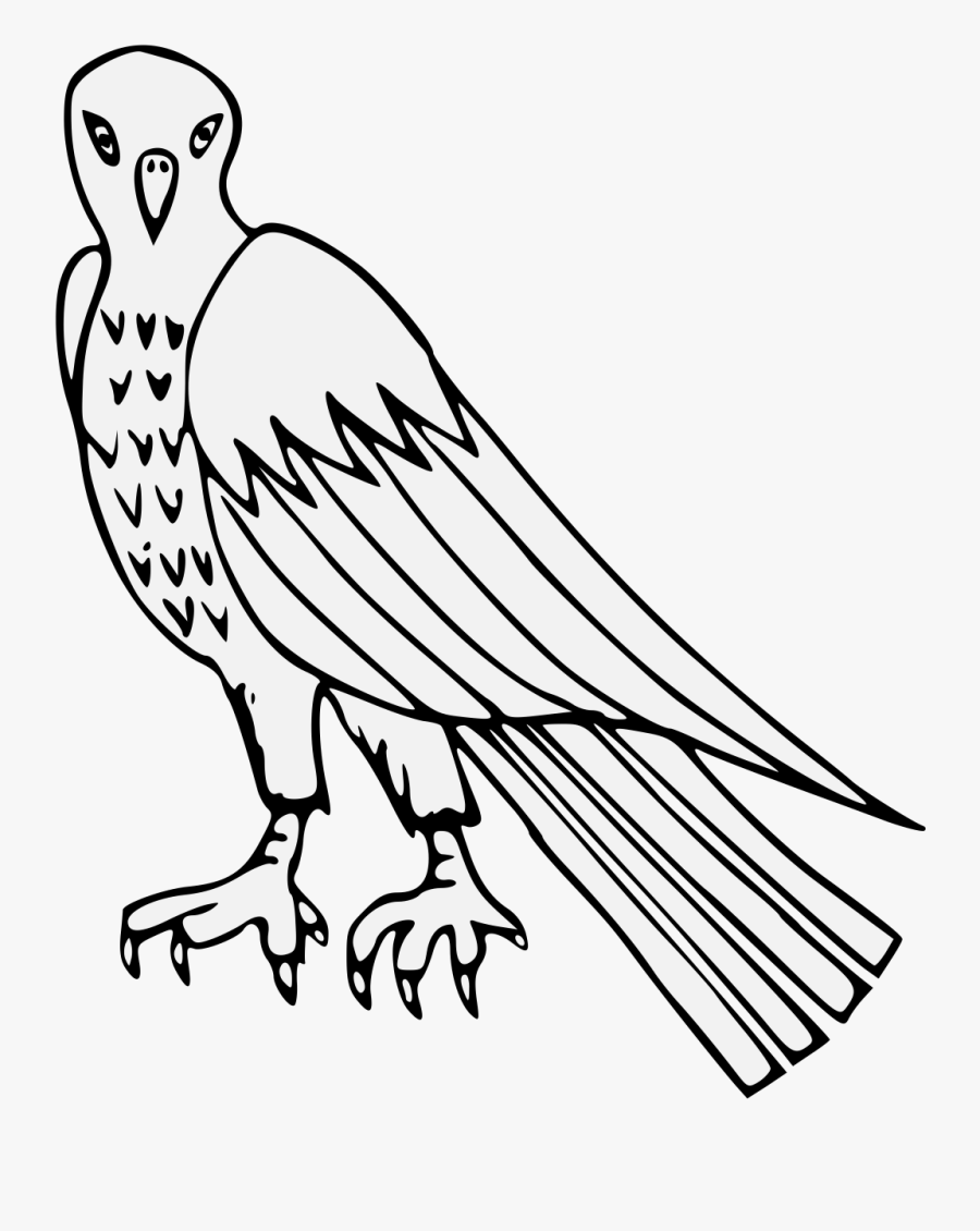 Hawk Clip Art, Transparent Clipart