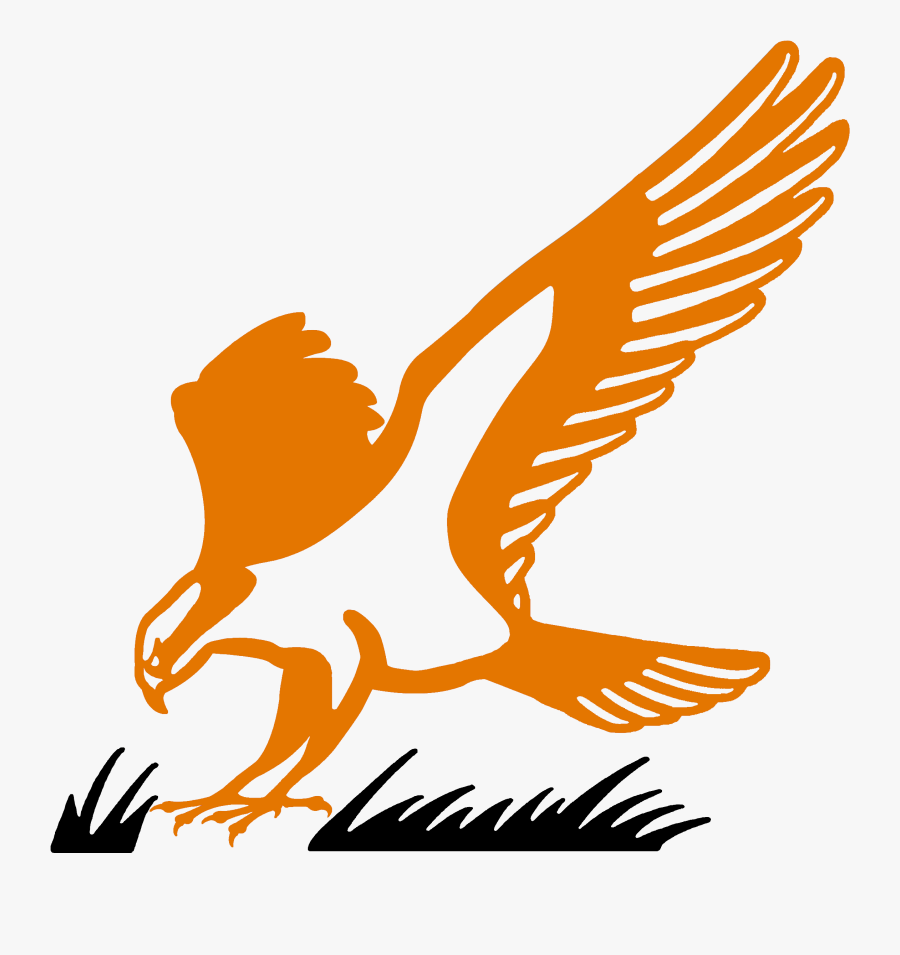 Hawk Clipart Osprey, Transparent Clipart