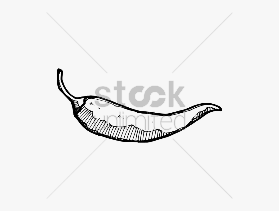Hot Pepper Drawing At Getdrawings Com Free, Transparent Clipart