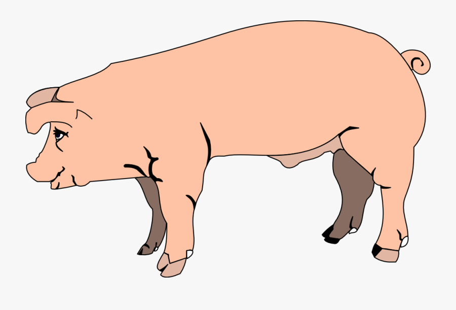 Transparent Pig Png Clipart, Transparent Clipart