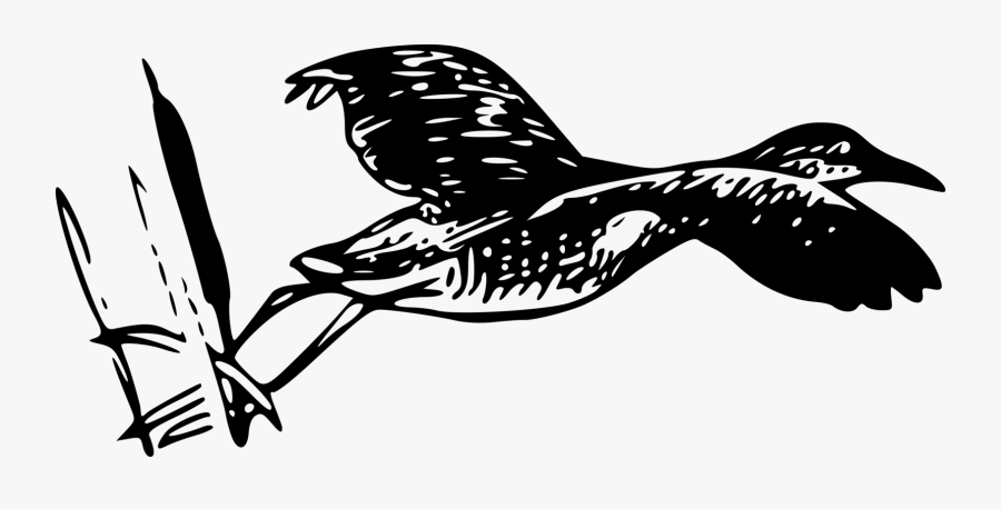 Art,monochrome Photography,beak, Transparent Clipart