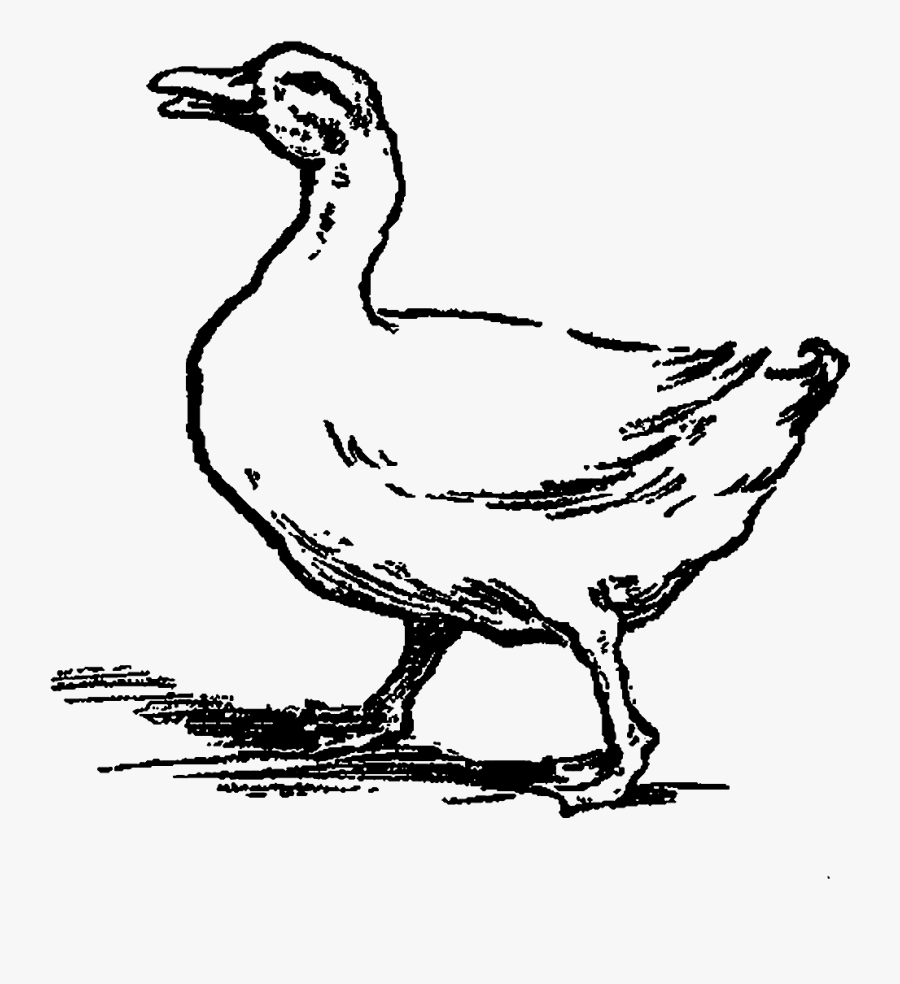 Farm Animals Clip Art, Transparent Clipart