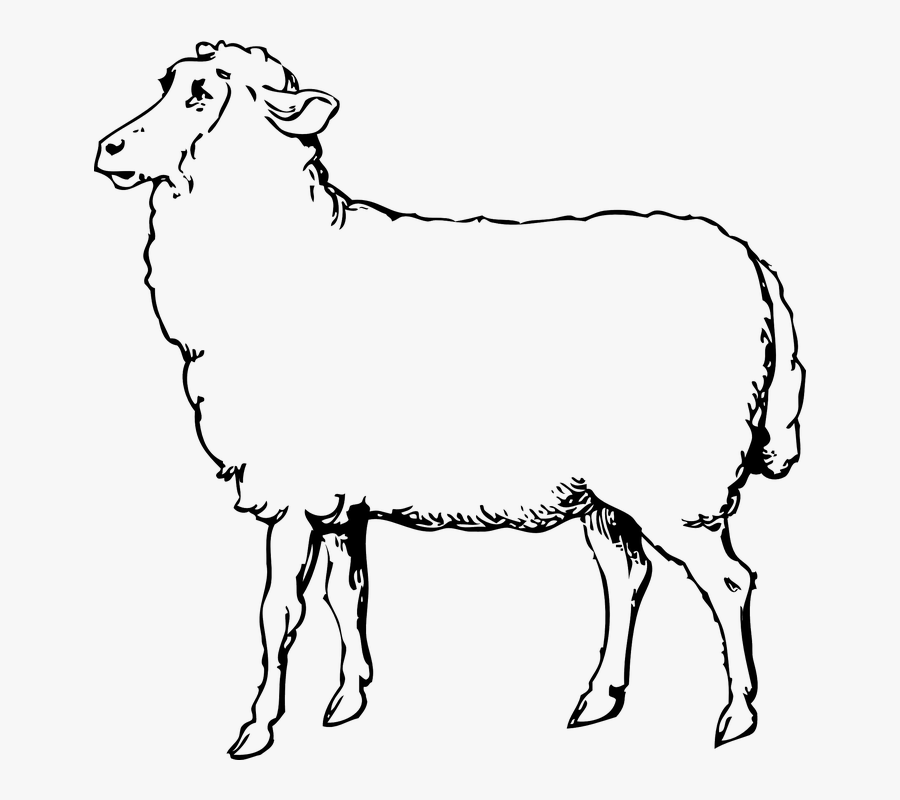 Free Image On Pixabay, Transparent Clipart