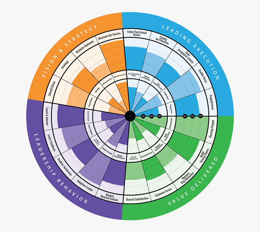 Agile Leadership Radar Web Summary View Transparent, Transparent Clipart