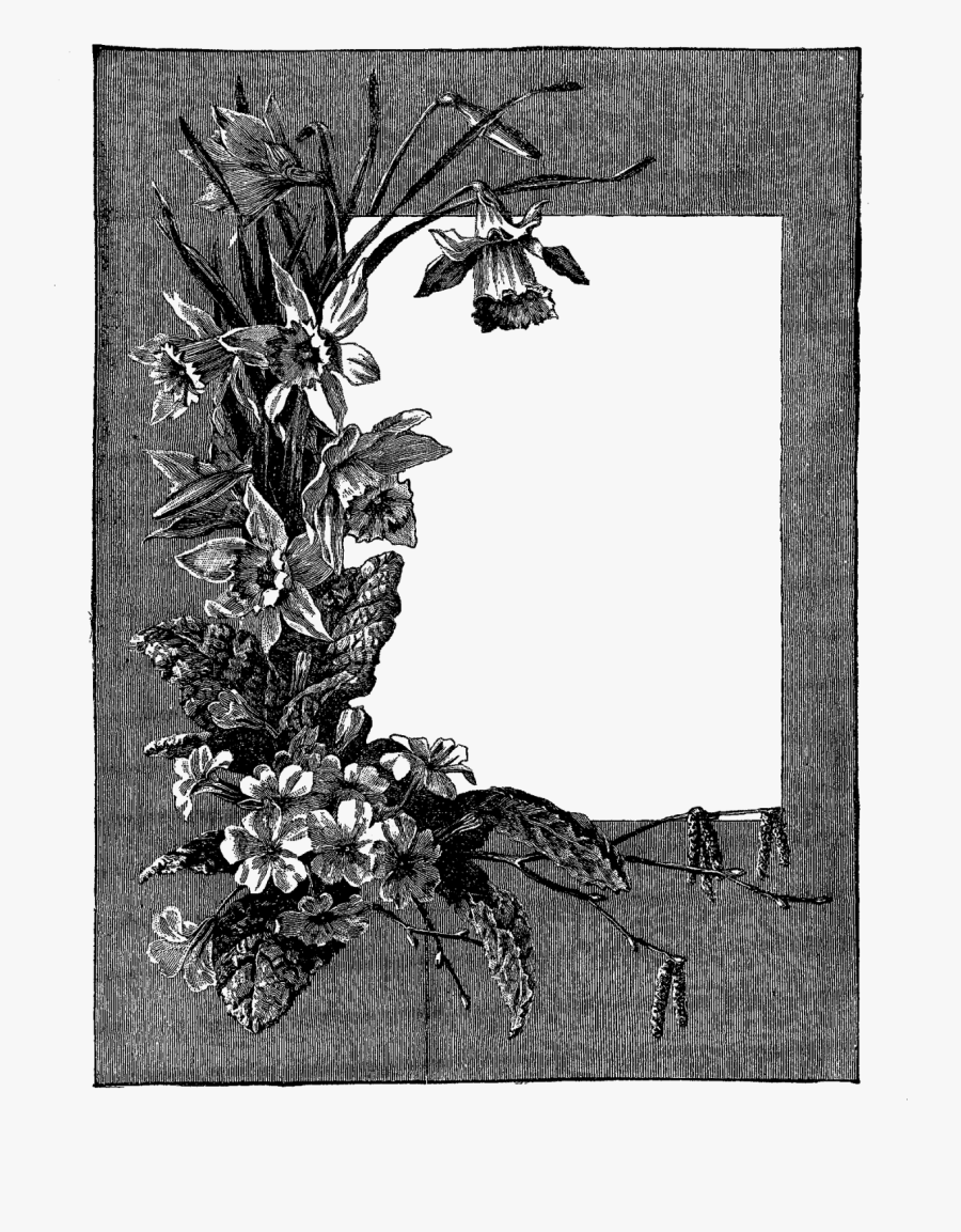 Spring Clip Art Black And White, Transparent Clipart