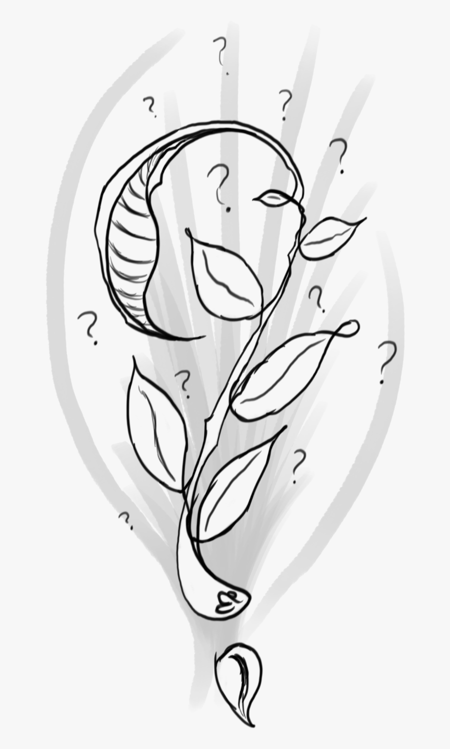 Spring Clip Art Black And White, Transparent Clipart