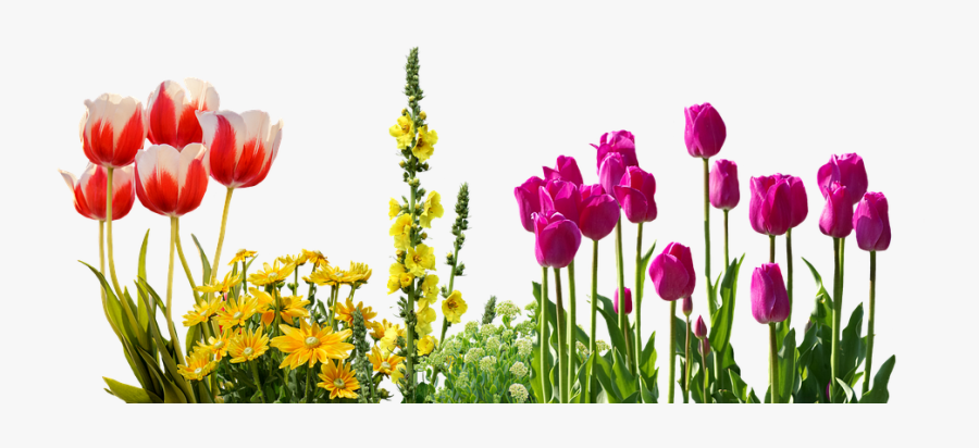 Transparent Spring Flowers Clipart , Png Download, Transparent Clipart