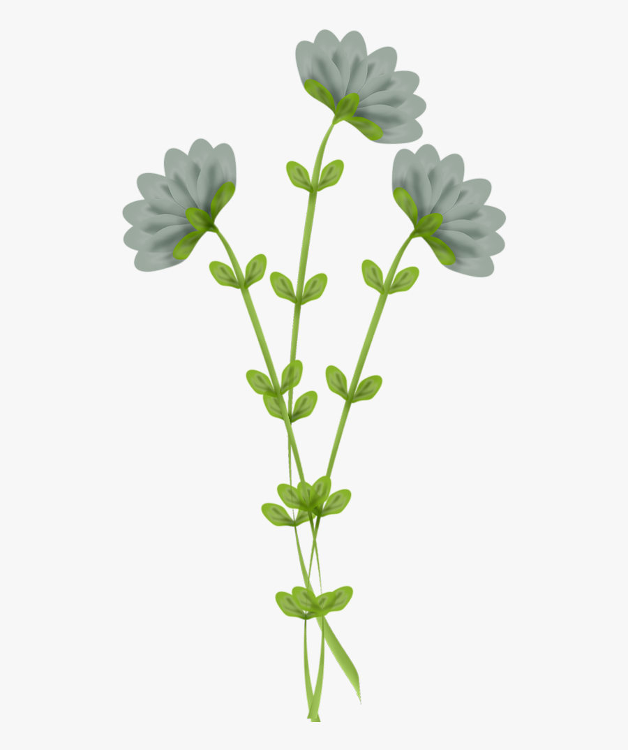 Spring Flower Clip Art, Transparent Clipart