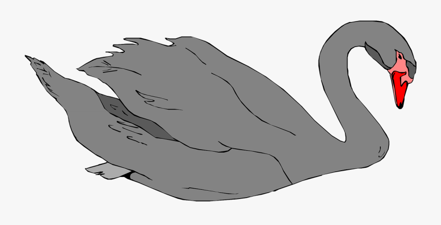 Swan Clipart Pond Drawing, Transparent Clipart