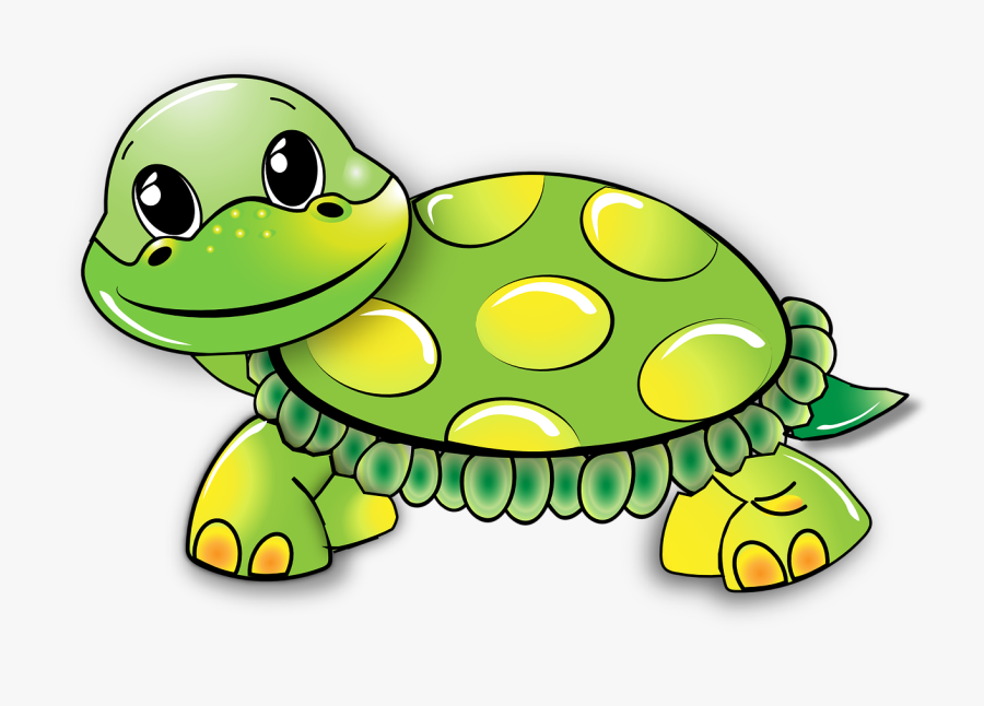 Turtle Clipart Eye, Transparent Clipart