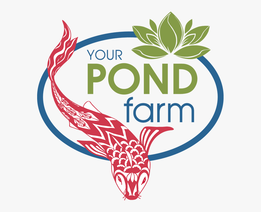 Pond Clip Art, Transparent Clipart