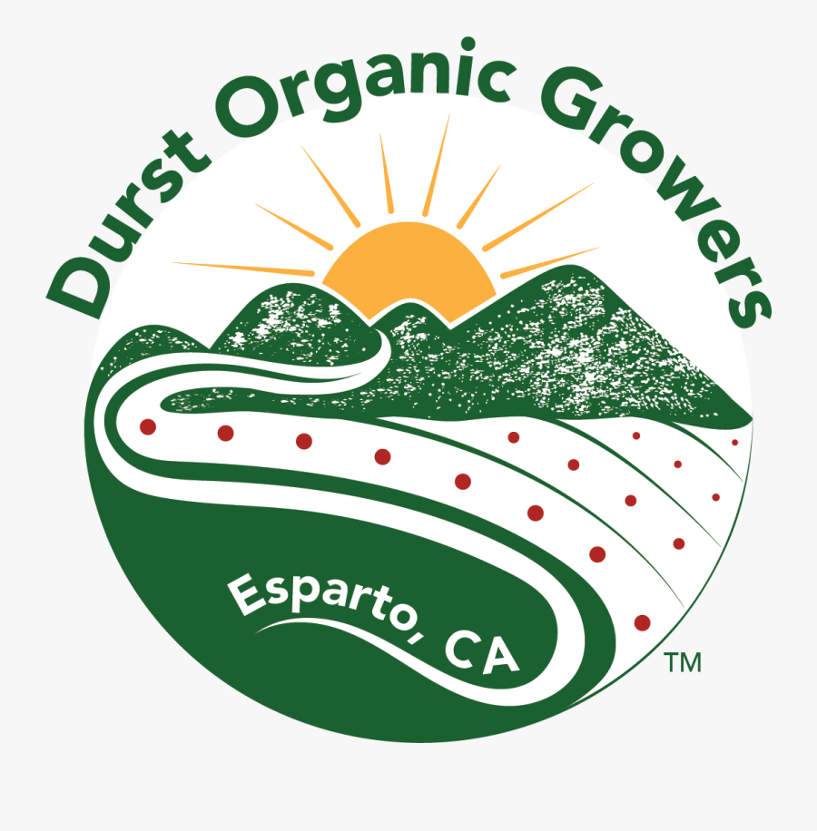 Why We Won T, Transparent Clipart