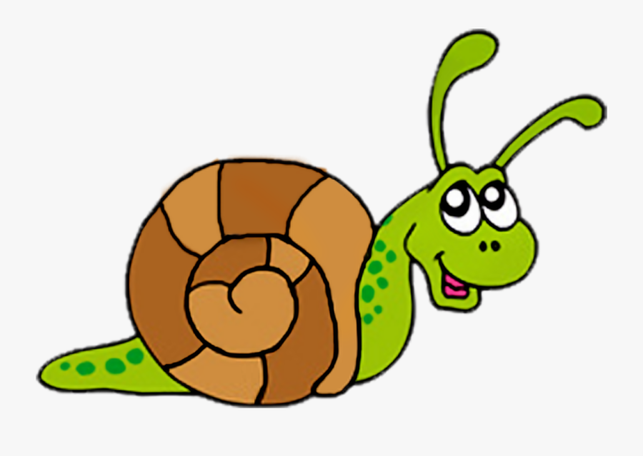 Banner Royalty Free Stock Snail Clipart Pond, Transparent Clipart