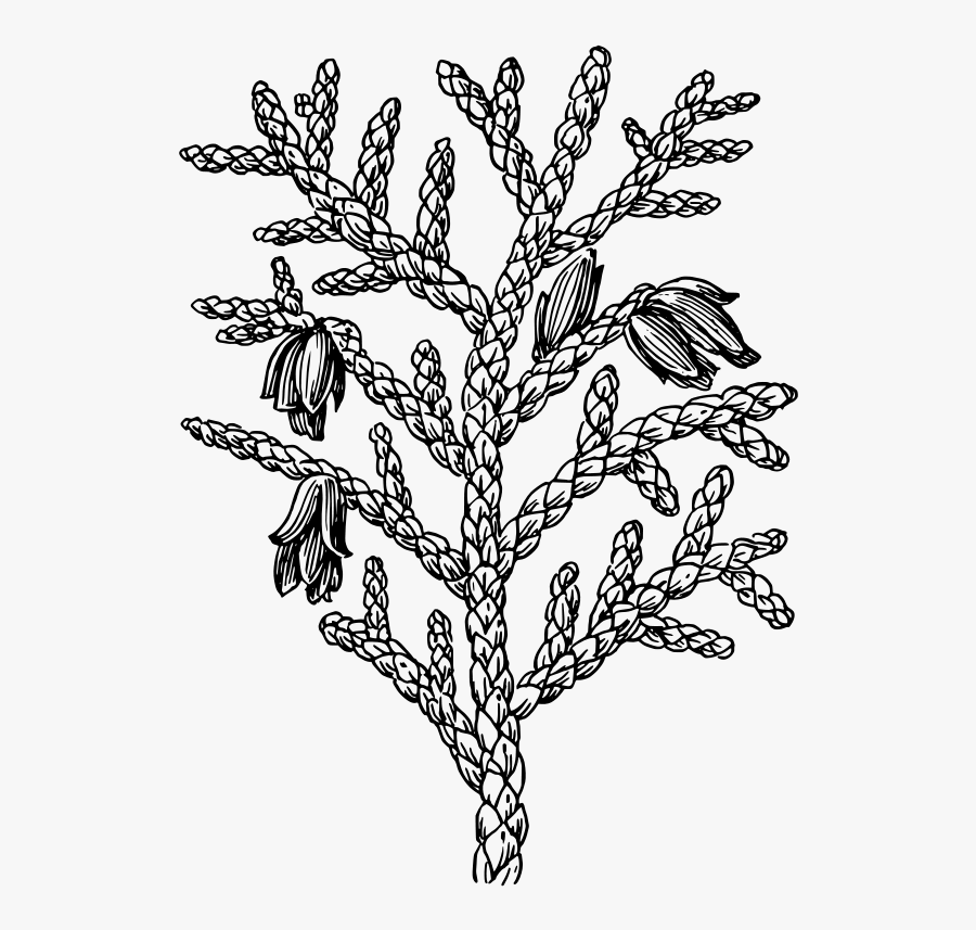 Pond Clip Art, Transparent Clipart