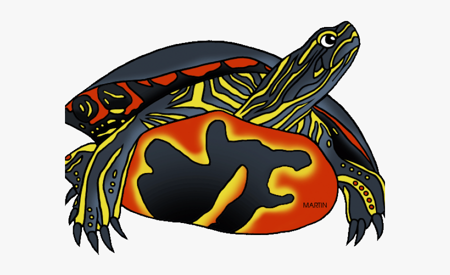 Michigan Reptile Painted Turtles, Transparent Clipart