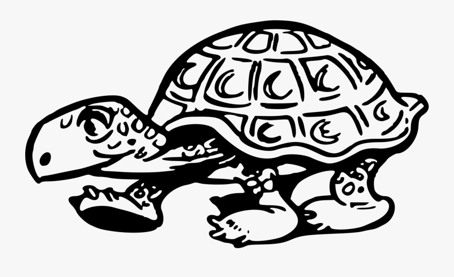 Tortoise - Esio Trot Word Search, Transparent Clipart