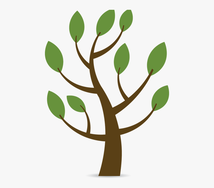 Tree, Transparent Clipart