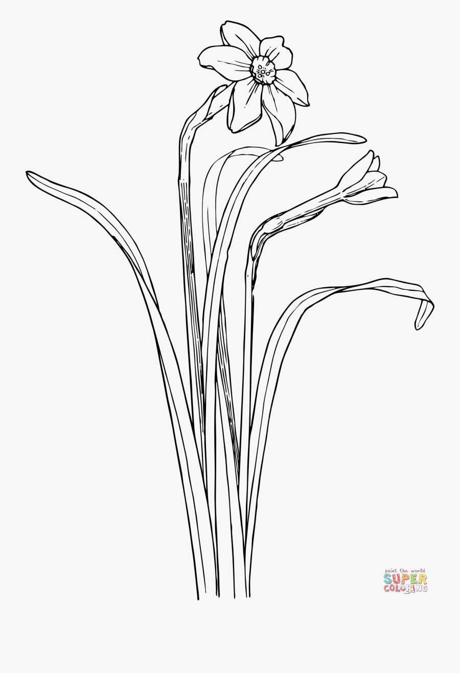 Plant Draw Flower Bush, Transparent Clipart