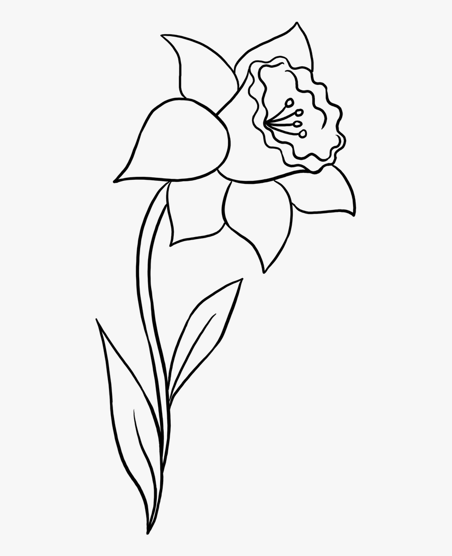 How To Draw A Daffodil - Line Art, Transparent Clipart