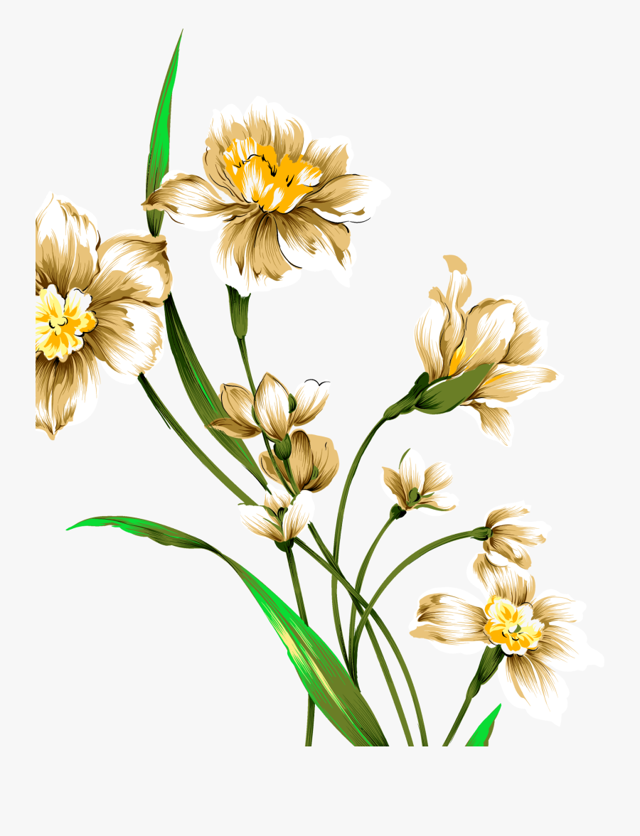 Clipart Library Library Daffodils Drawing Watercolor - Watercolor Drawing Of Flower, Transparent Clipart