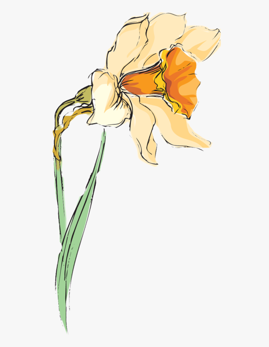 Iris, Transparent Clipart