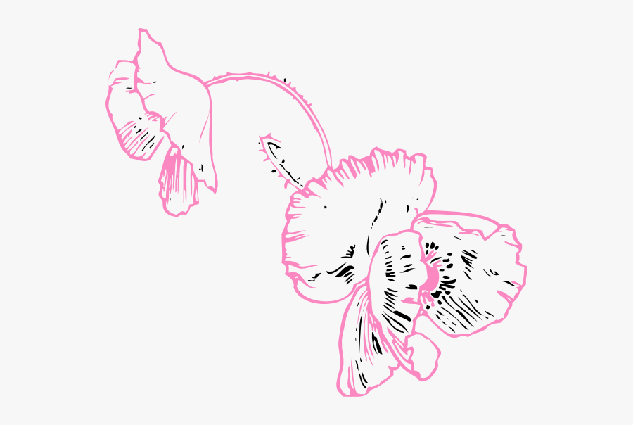 Transparent Flower Coloring Page, Transparent Clipart