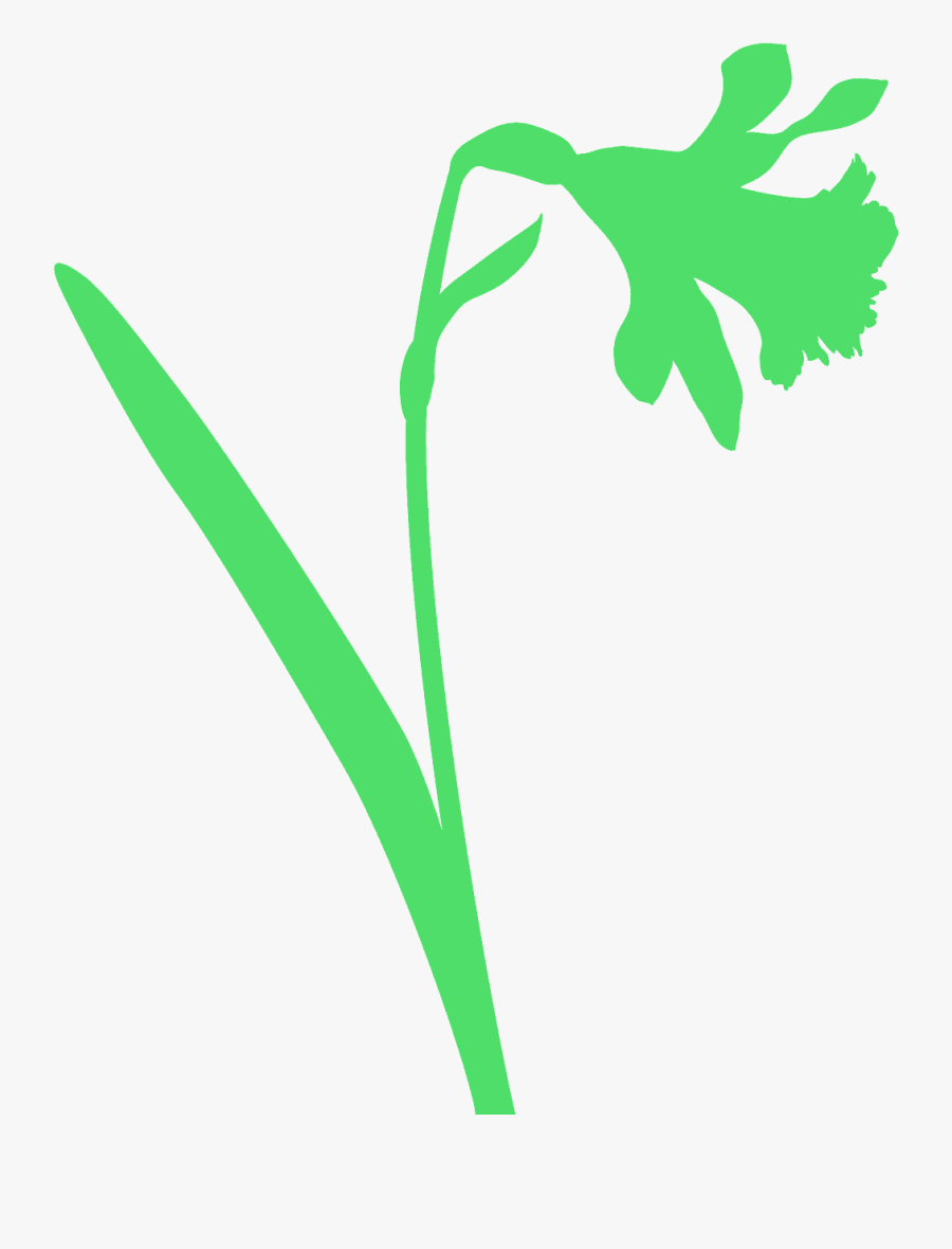 Daffodil Silhouette, Transparent Clipart