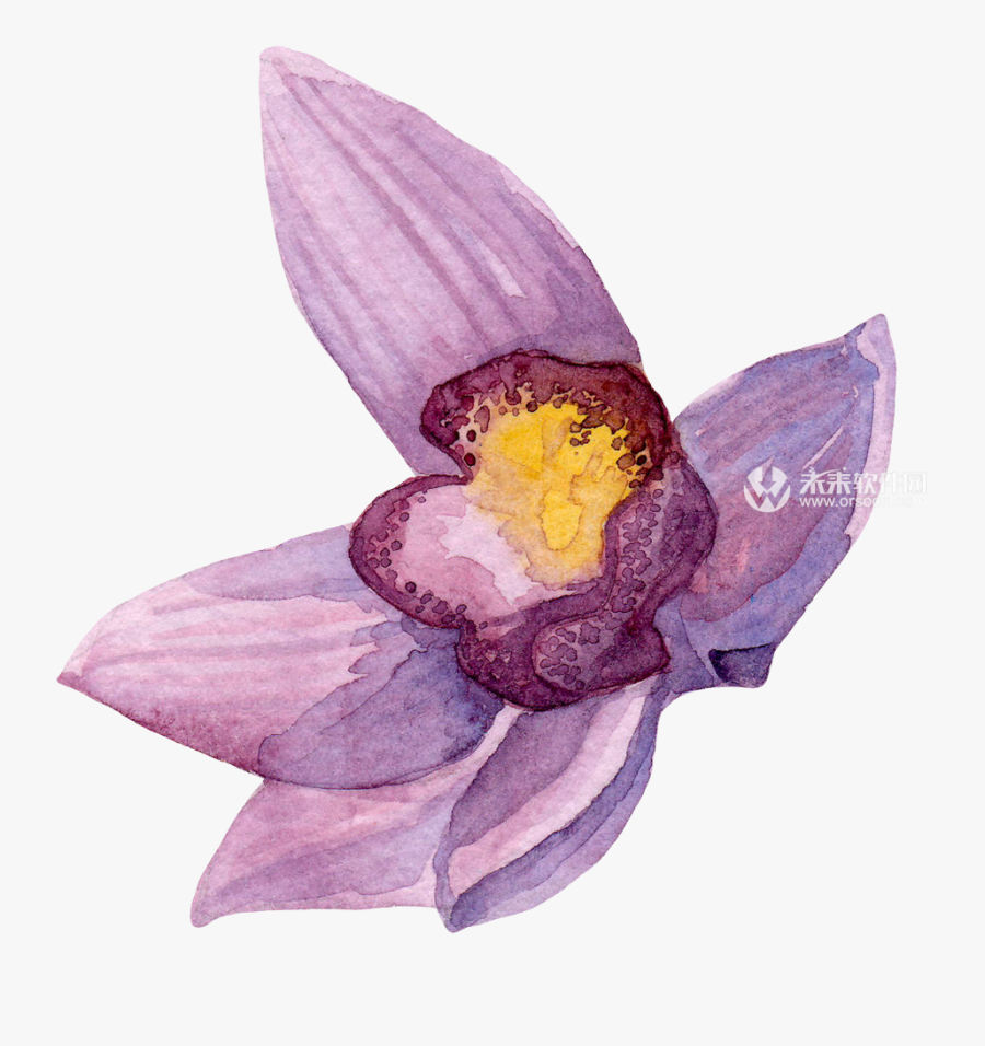 Creativemarket Watercolor Orchid Flowers Clip Art 效果图 - Artificial Flower, Transparent Clipart