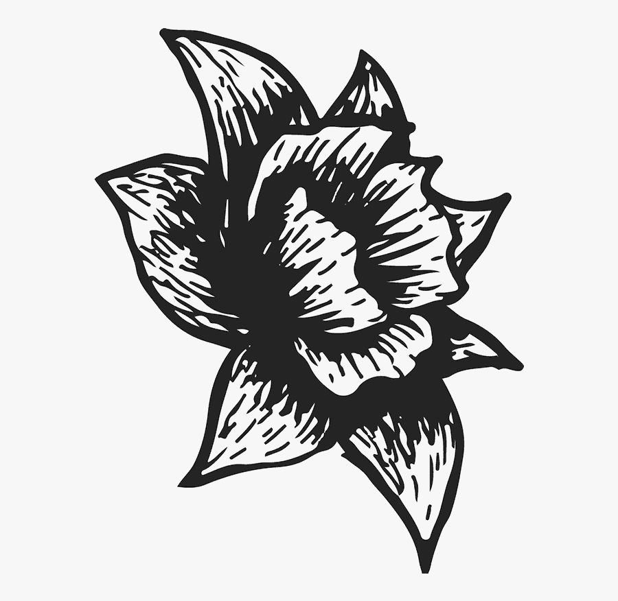 Lily Family, Transparent Clipart