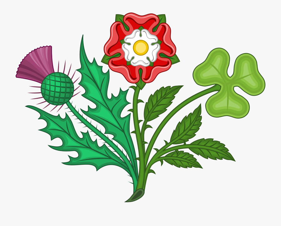 Daffodil Clipart Thing Welsh - Rose Thistle Shamrock Daffodil, Transparent Clipart