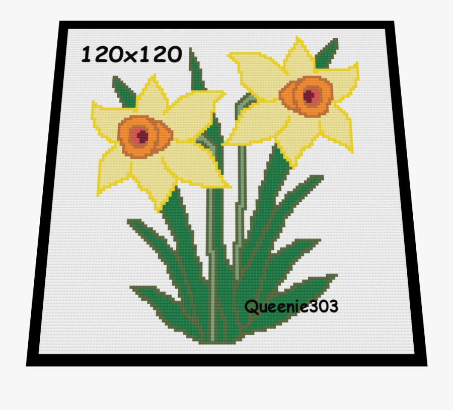 Daffodil - Narcissus, Transparent Clipart