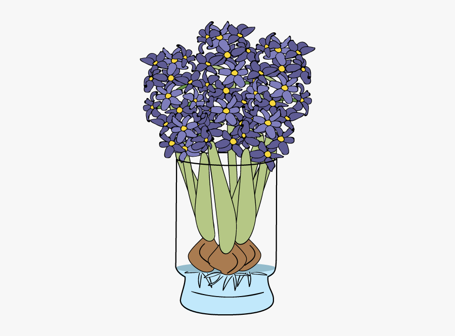 Hyacinth, Transparent Clipart
