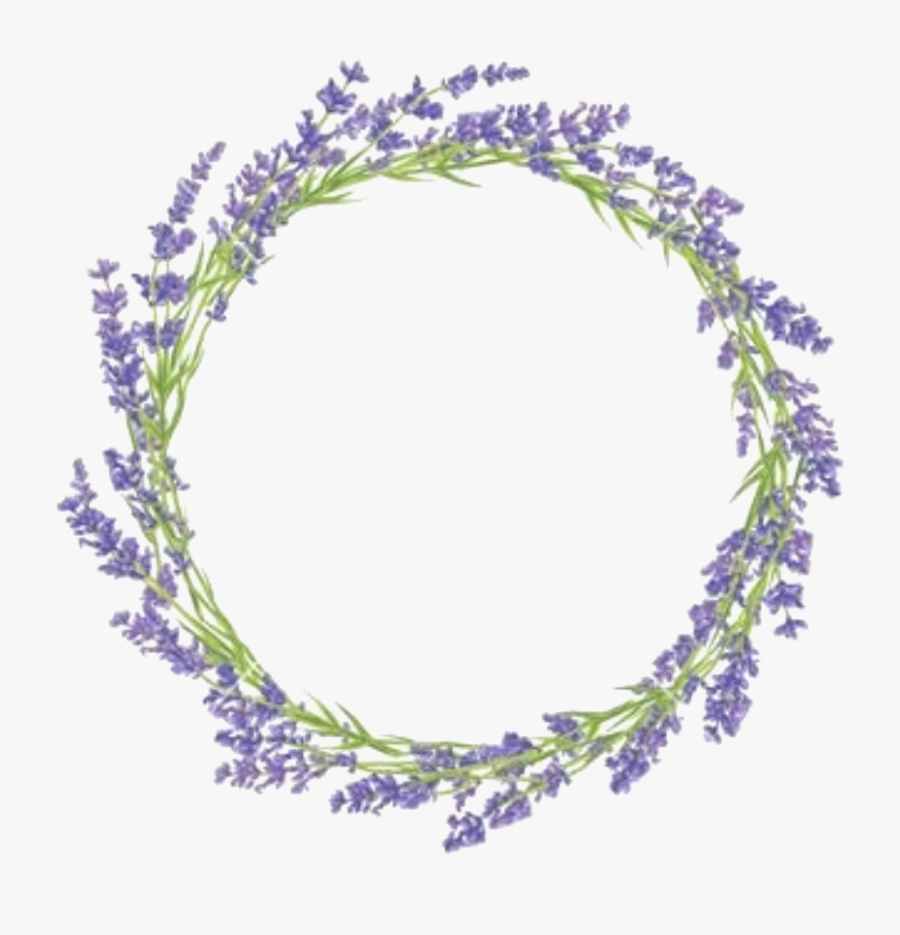 Transparent Lavender Flower Png - Circulo Lavanda, Transparent Clipart